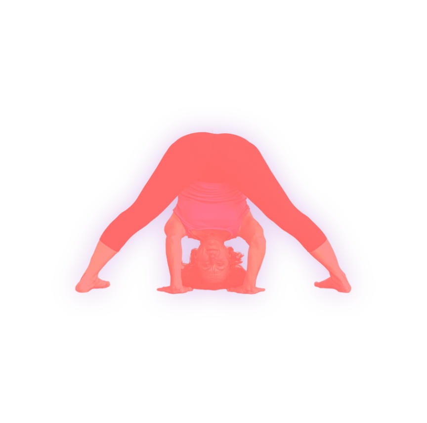 Posture inversée de yoga Iyengar Prasarita Padotanasana