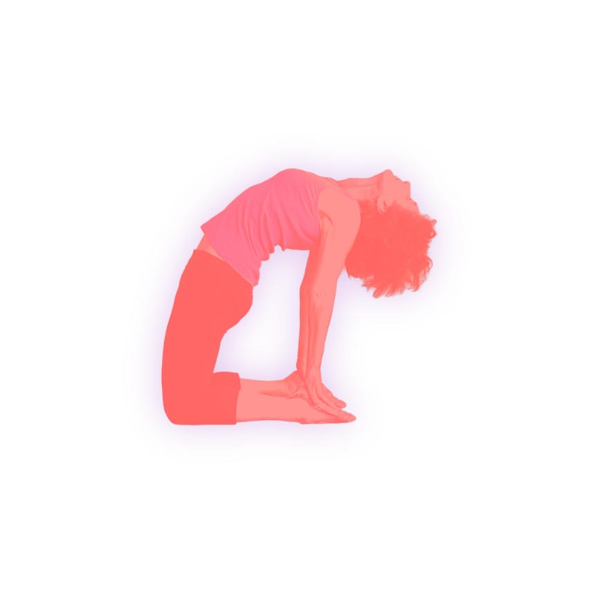 Posture inversée de yoga Iyengar Ustrasana